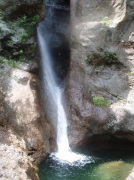 p0048.jpg