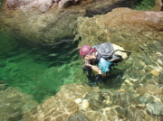 p0055.jpg
