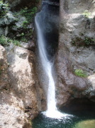 p0056.jpg