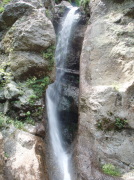 p0057.jpg