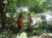 p0059.jpg