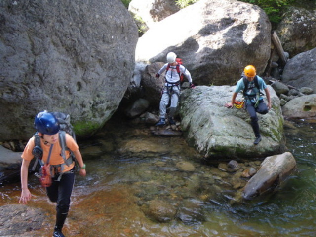 p0005.jpg
