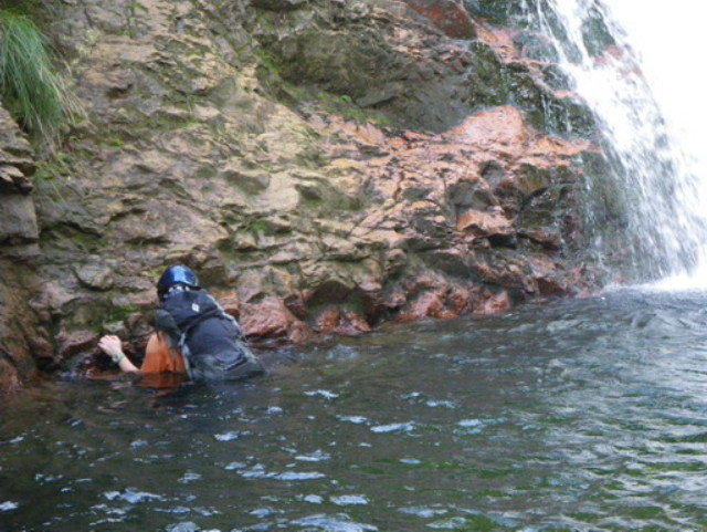 p0010.jpg