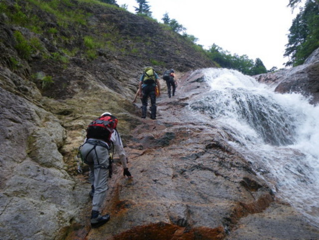 p0017.jpg