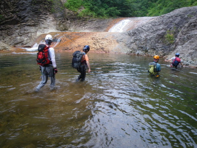 p0019.jpg