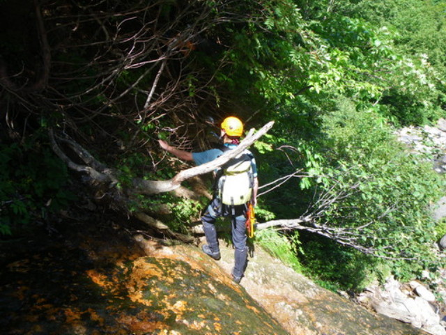p0048.jpg