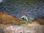 p0014.jpg