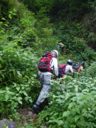 p0033.jpg
