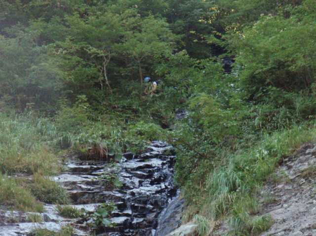 p0042.jpg