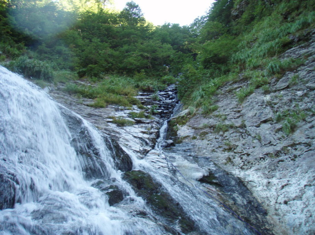 p0043.jpg