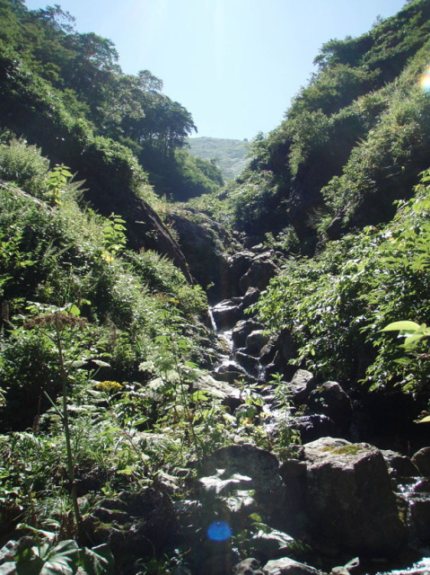 p0049.jpg
