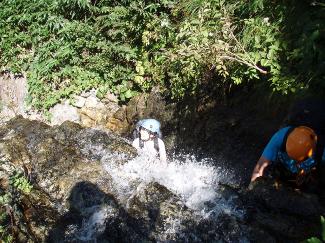 p0050.jpg