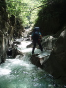 p0005.jpg