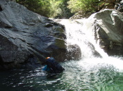 p0006.jpg