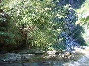 p0044.jpg