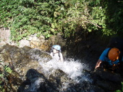 p0050.jpg