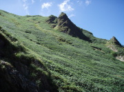 p0053.jpg