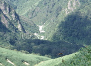 p0058.jpg