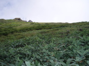 p0059.jpg