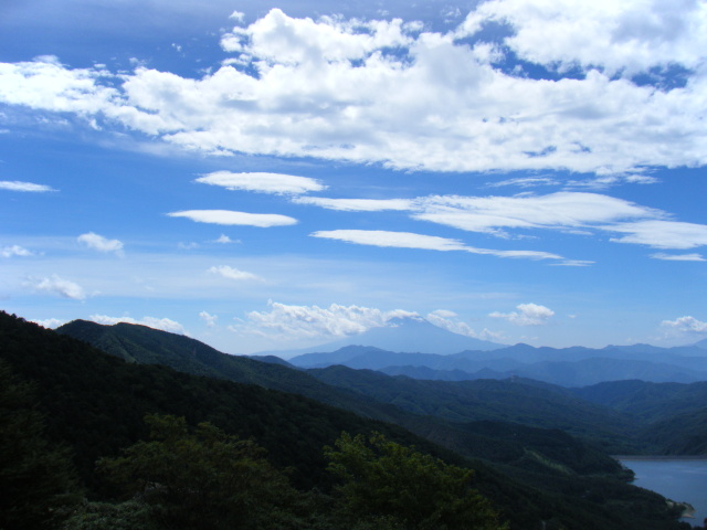 p0005.jpg