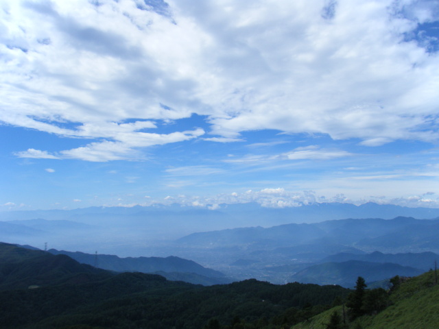 p0006.jpg