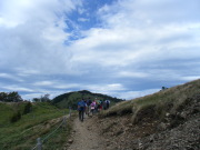 p0007.jpg