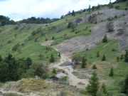 p0011.jpg
