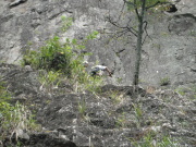 p0002.jpg