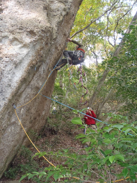 p0007.jpg
