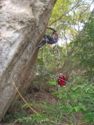 p0007.jpg