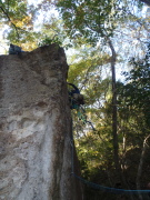 p0010.jpg