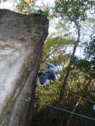 p0012.jpg