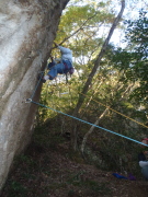 p0013.jpg