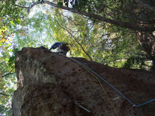 p0004.jpg