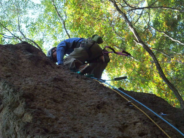 p0005.jpg
