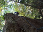 p0004.jpg