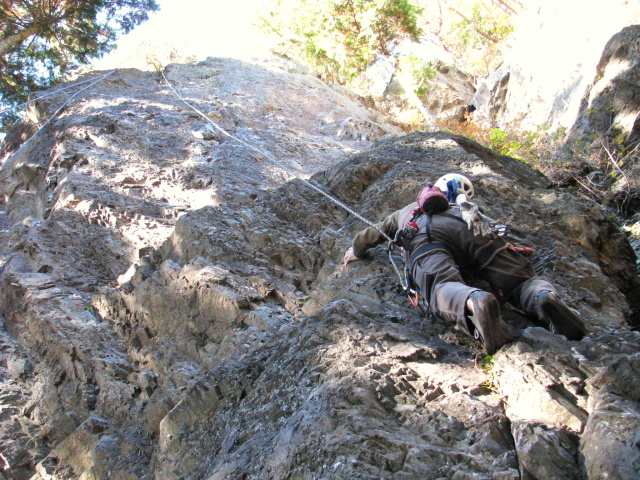 p0002.jpg