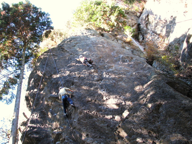 p0005.jpg