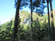 p0000.jpg