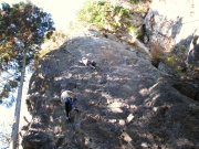 p0005.jpg
