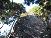 p0007.jpg