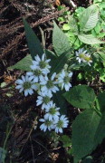 p0018.jpg
