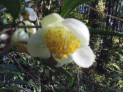 p0020.jpg