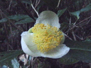 p0021.jpg