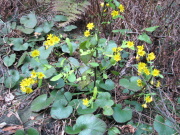 p0022.jpg