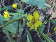 p0024.jpg