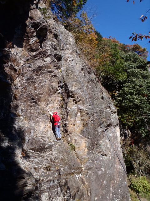 p0017.jpg
