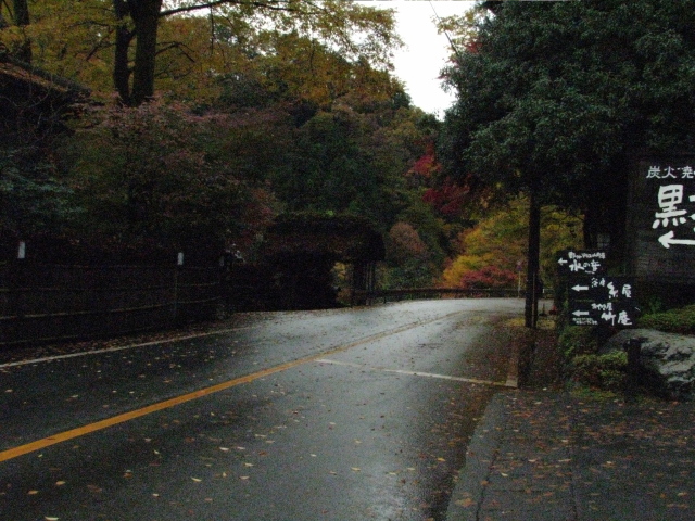 p0013.jpg
