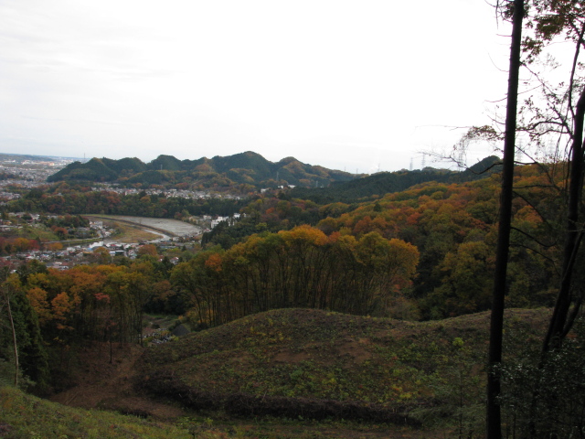 p0021.jpg