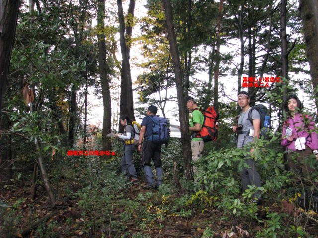 p0023.jpg